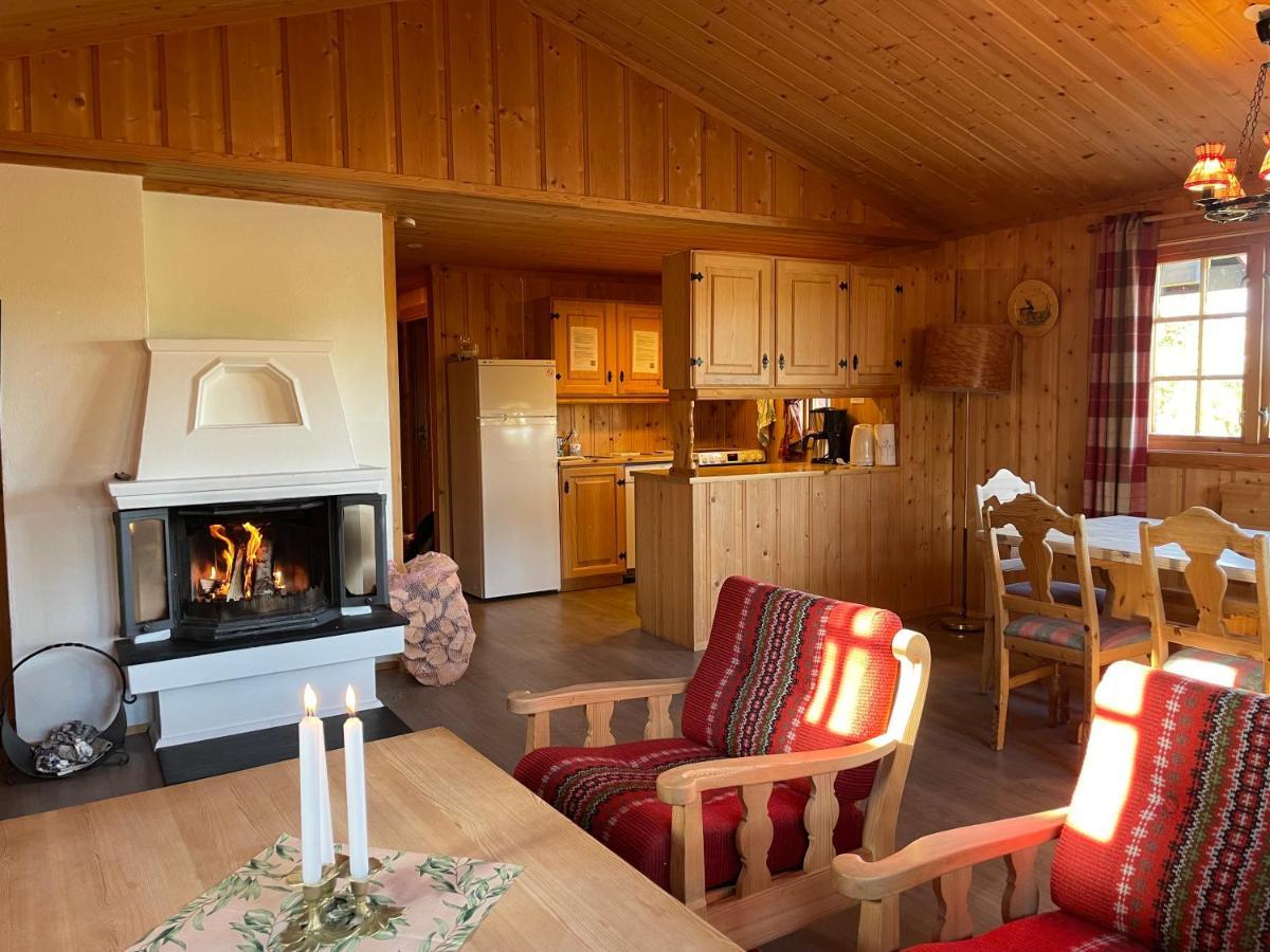Torsetlia Cottages And Apartments Uvdal 외부 사진
